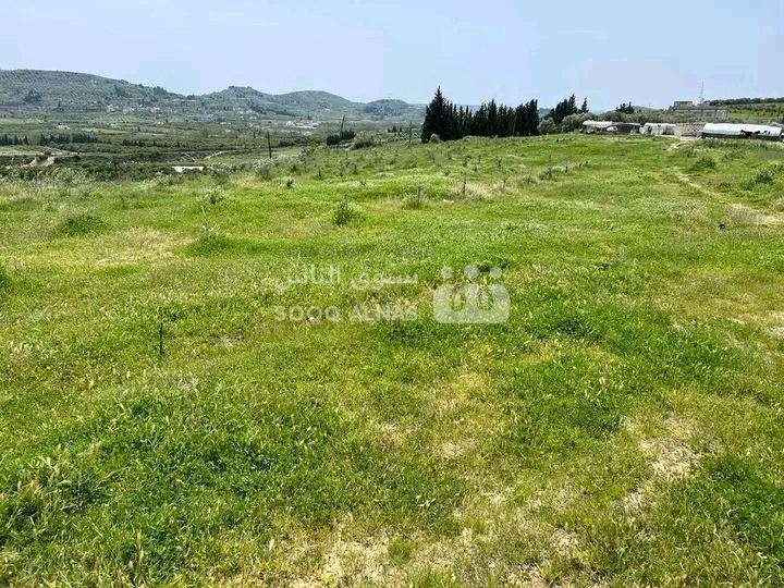 أرض كبيره عطريق حلب قريه بدميون