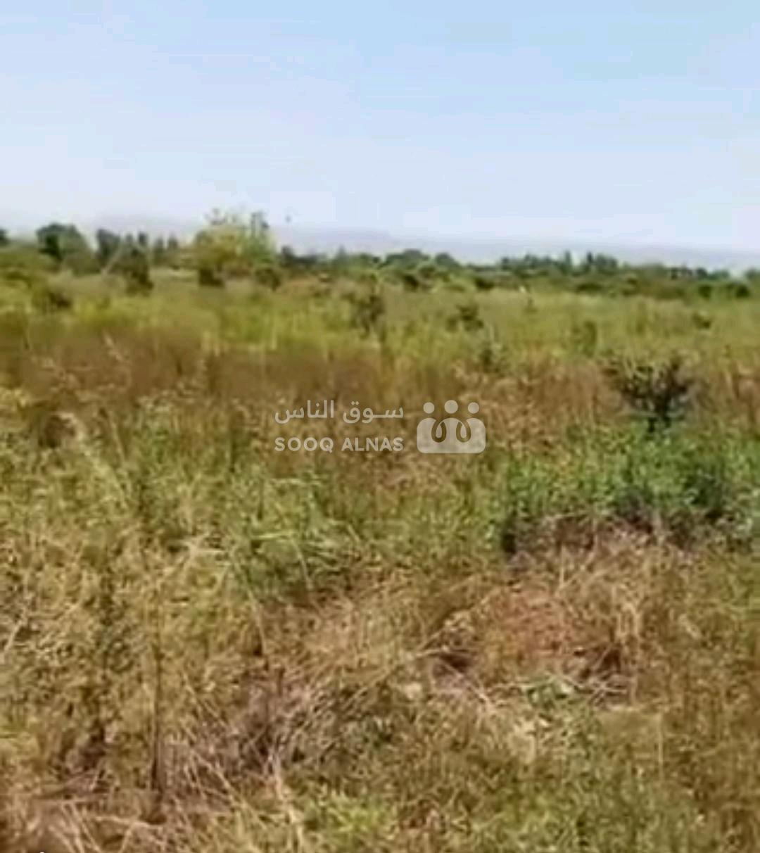 ارض زراعية للبيع