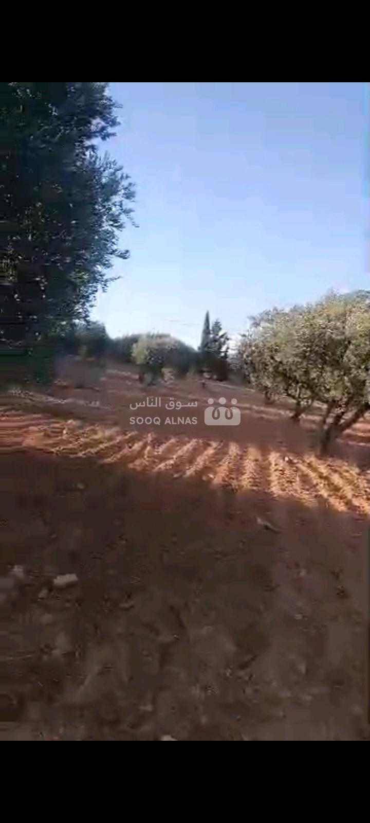 أرض اربع دولمات تبعد عن الطريق الرئيسي 500 م