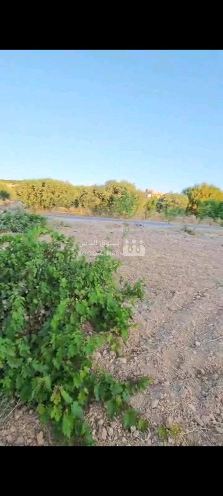 قطعة أرض في طريق القلعة