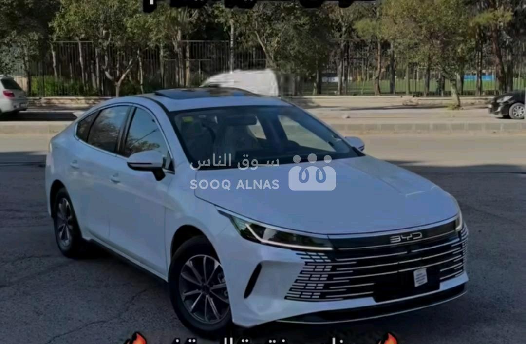 بي واي دي 2026
