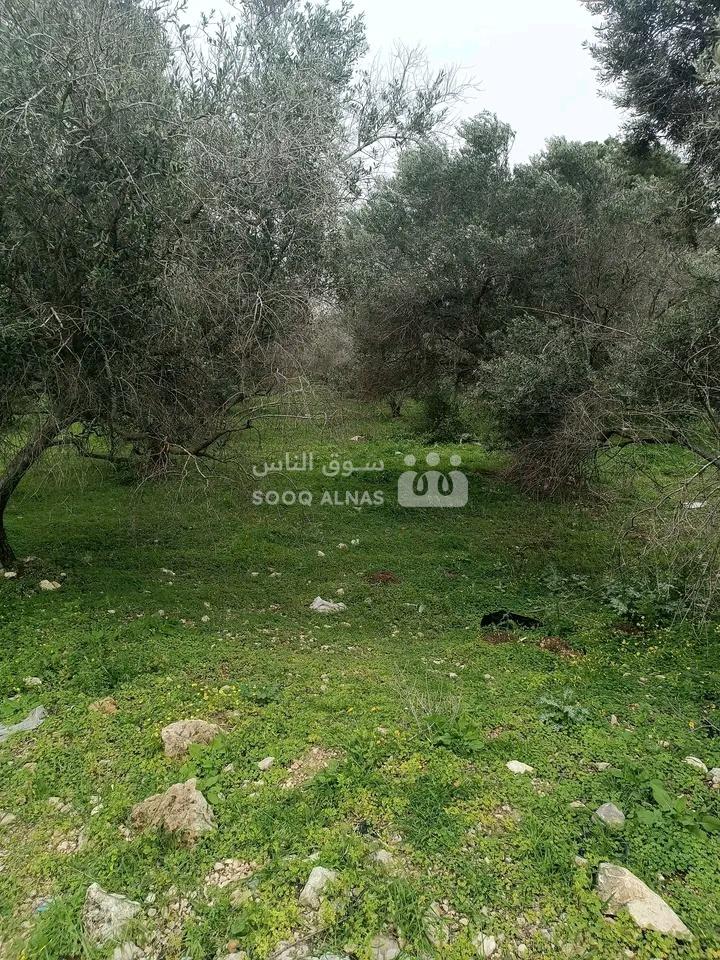 للبيع ارض 6دونم