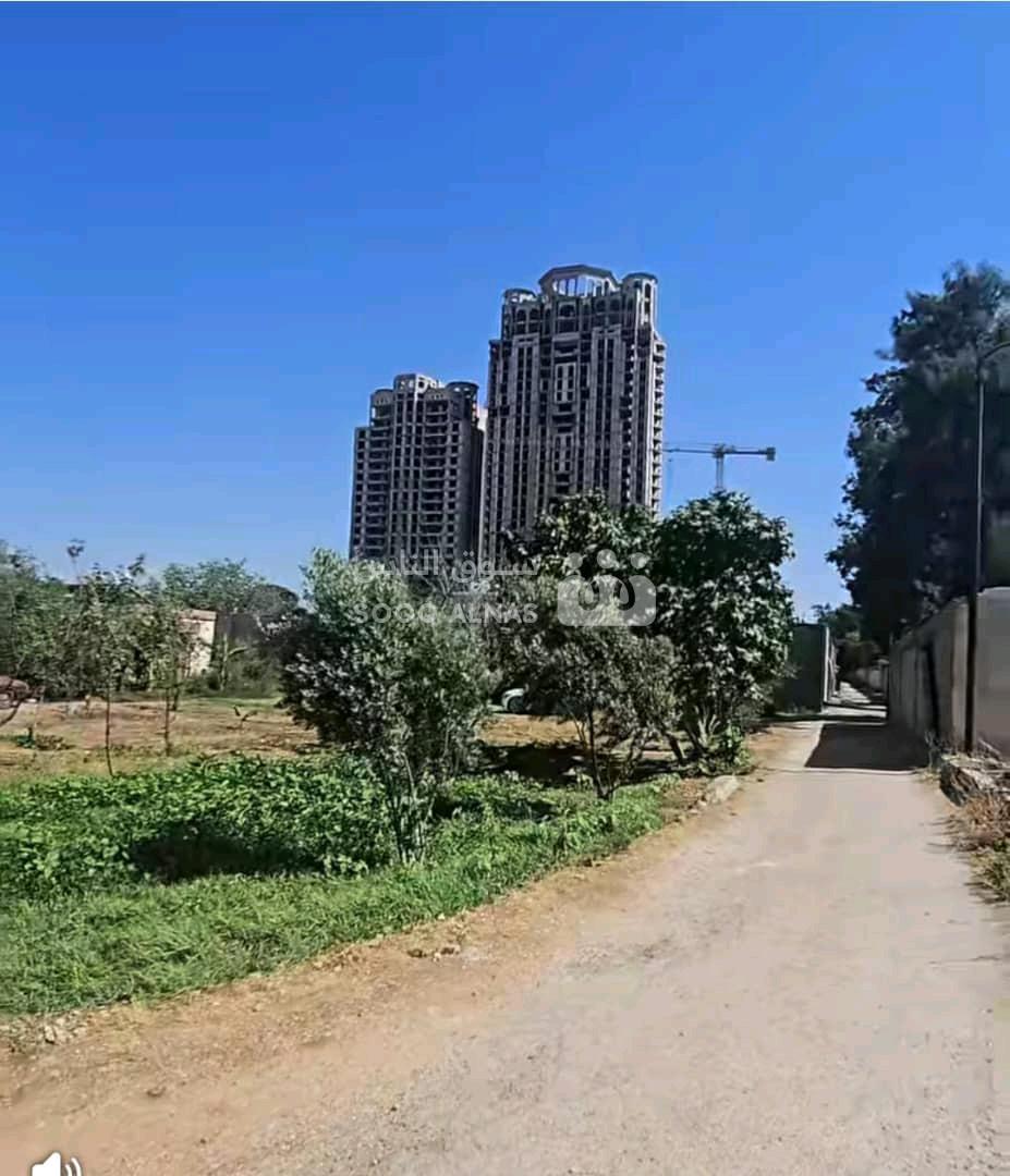 دونم ارض للبيع
