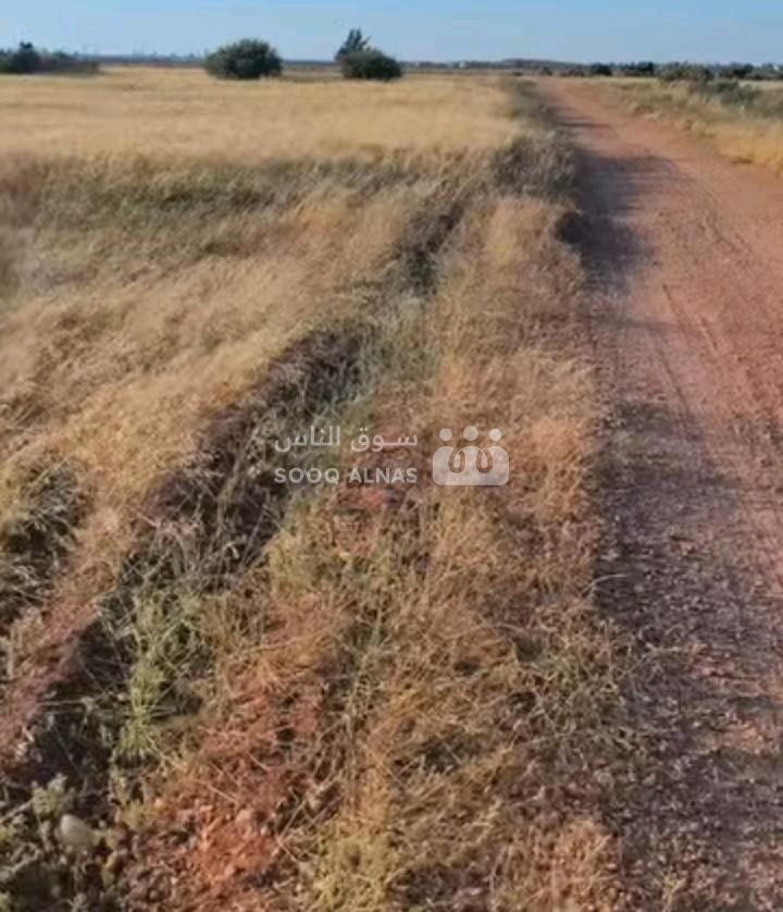 أرض زراعية قرية بويضة الشرقية