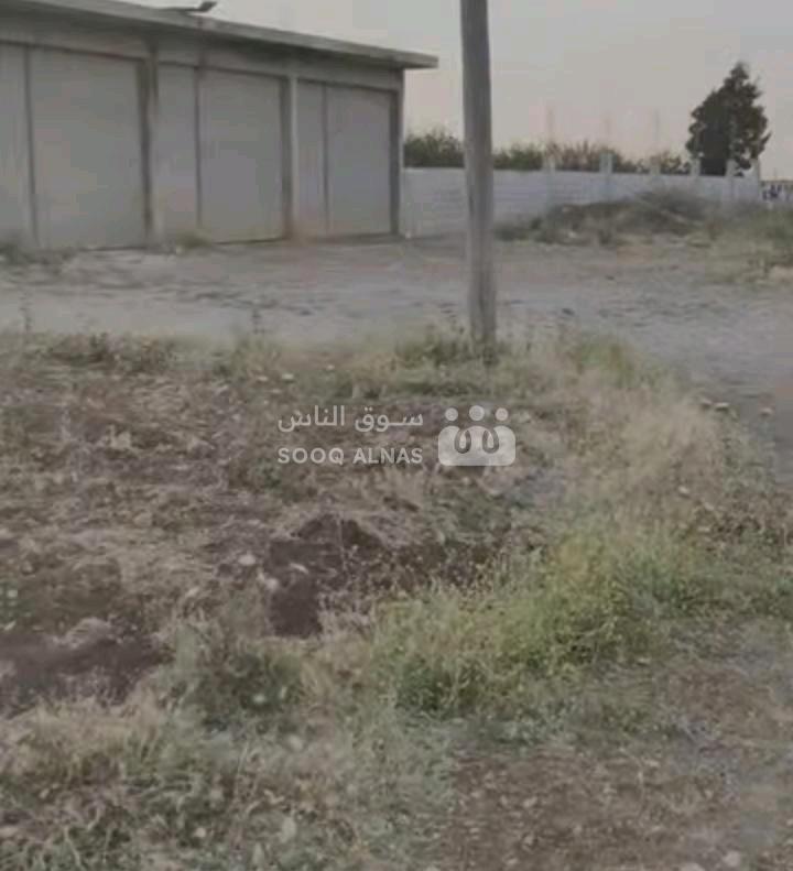 أرض زراعية في قرية قطينة