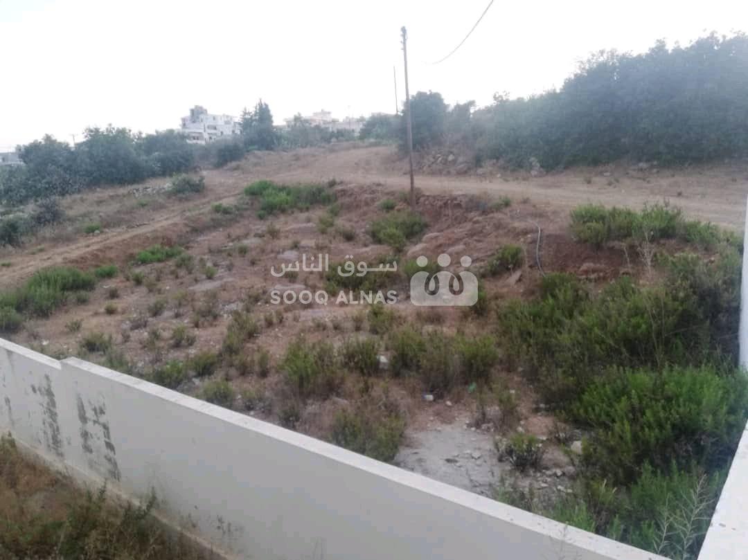 أرض بريف طرطوس