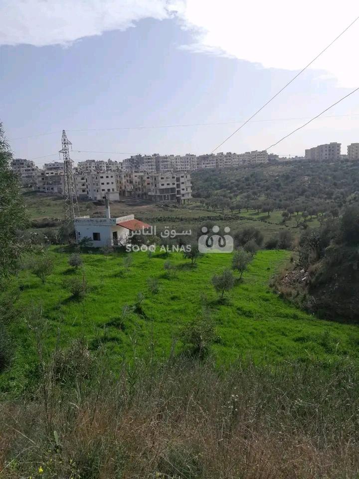 للاجار سقوبين ارض زراعية فيا غرفة ومنافعها