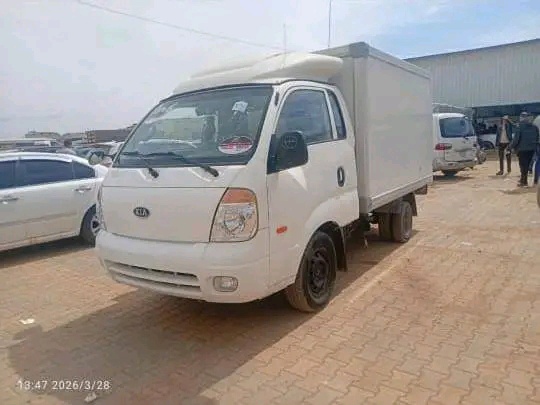 بانكو 4000 Bongo