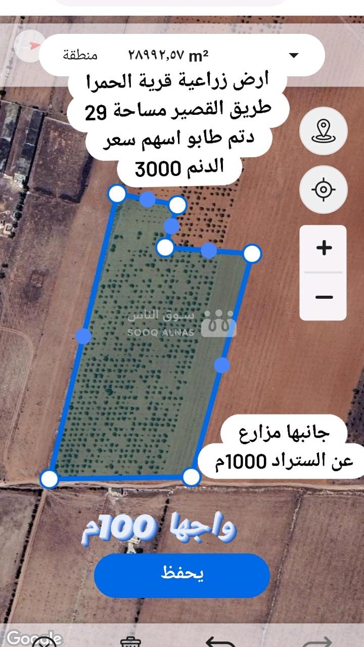 أرض زراغية قرية الحمرا طريق القصير
