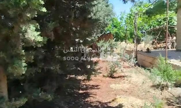 أرض زراعية مع سكن وعلى طريقين واحد زفت والتاني ترابي.وفيها بير