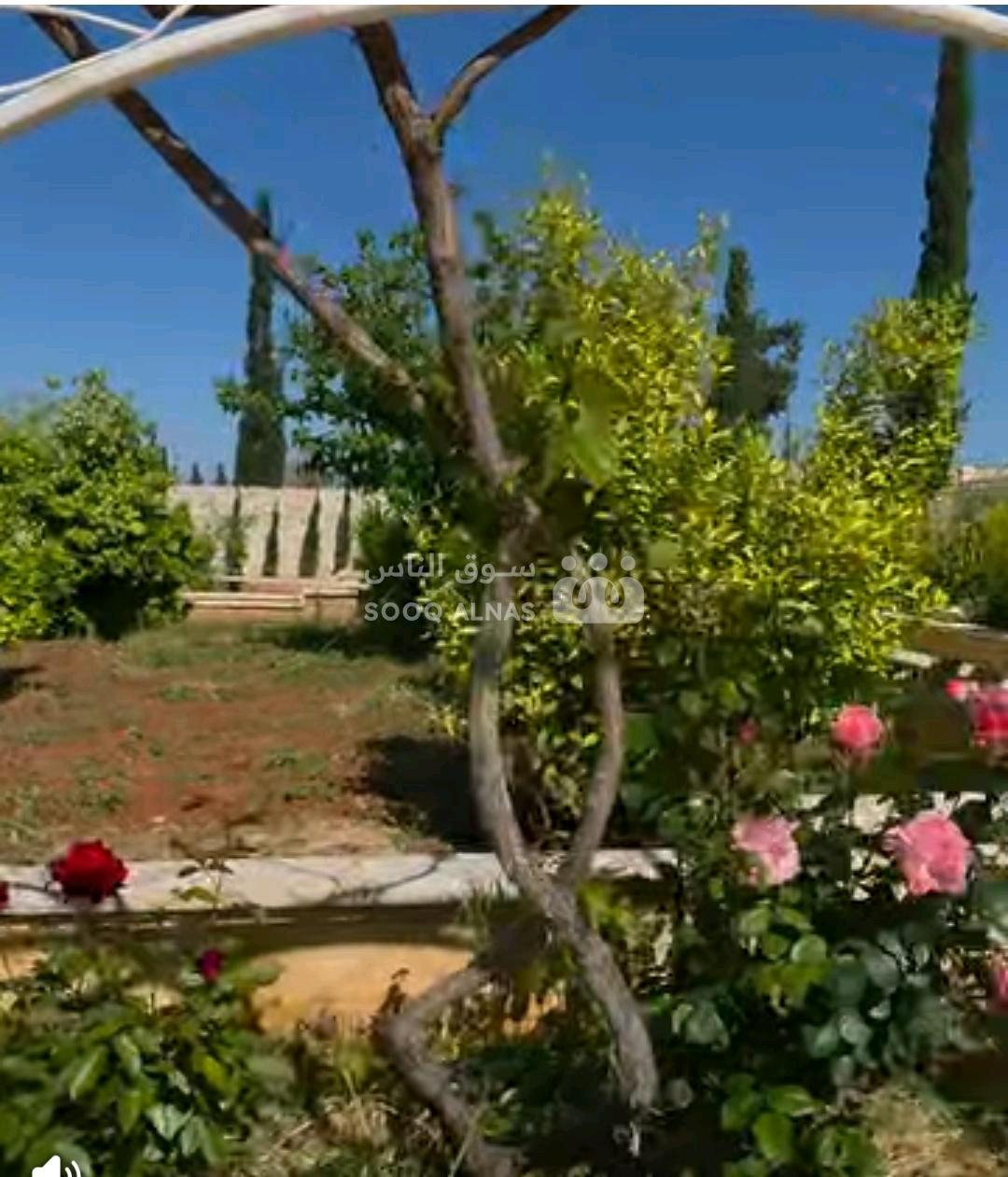 مزرعة للبيع