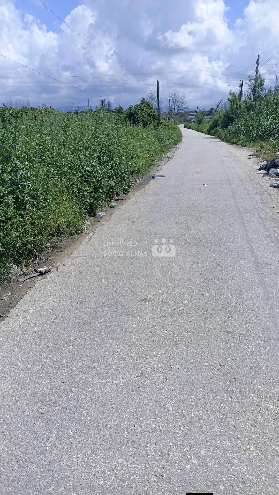 ارض فاضية خصبة غير مزروعة