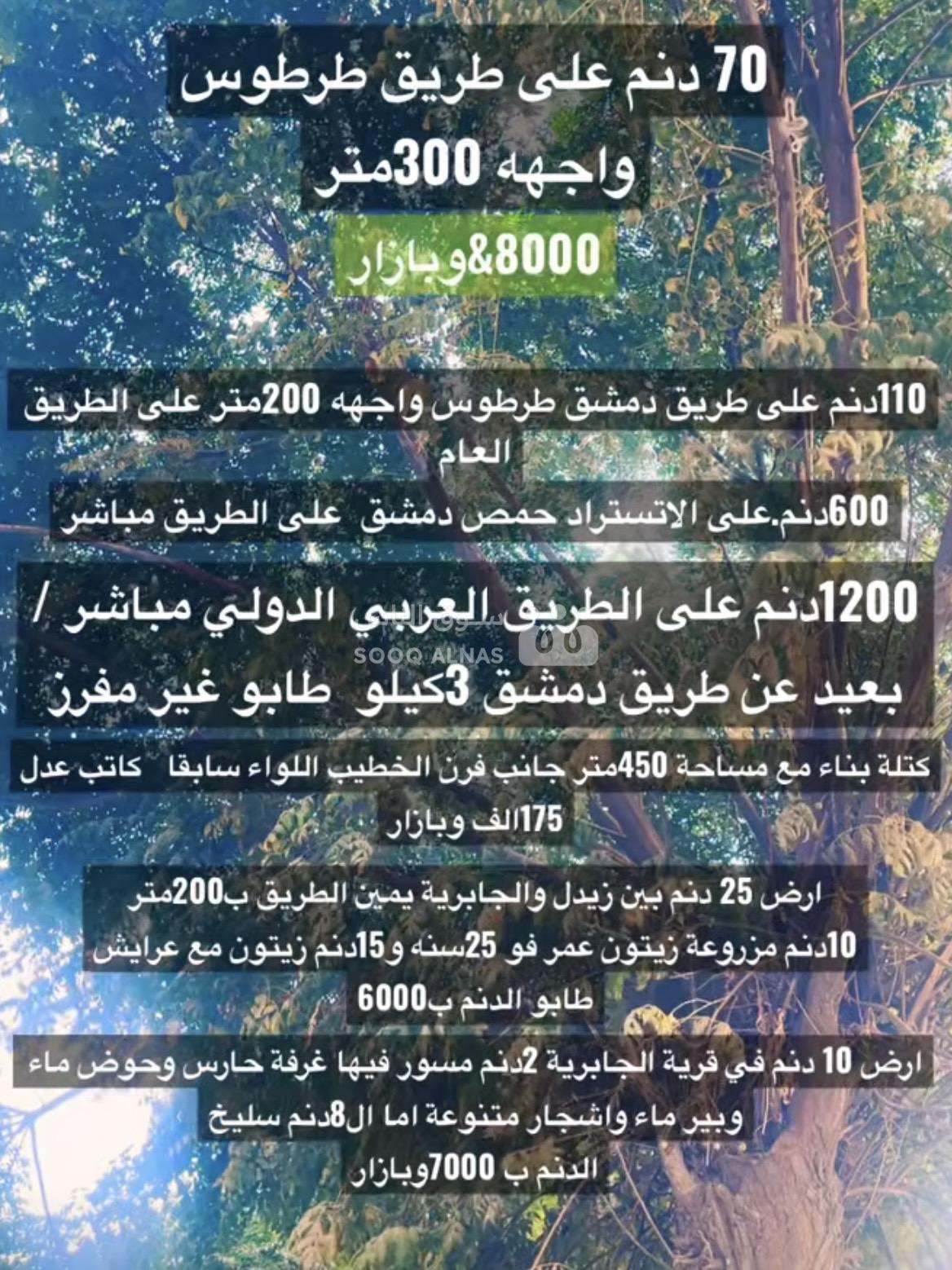 اراضي للبيع في حمص. زراعيه و سكنية و تجارية. فرصة استثمارية