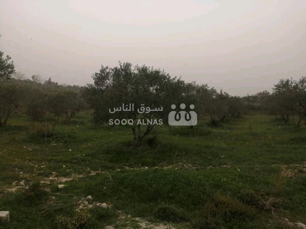 ارض 9 دونمات للبيع
