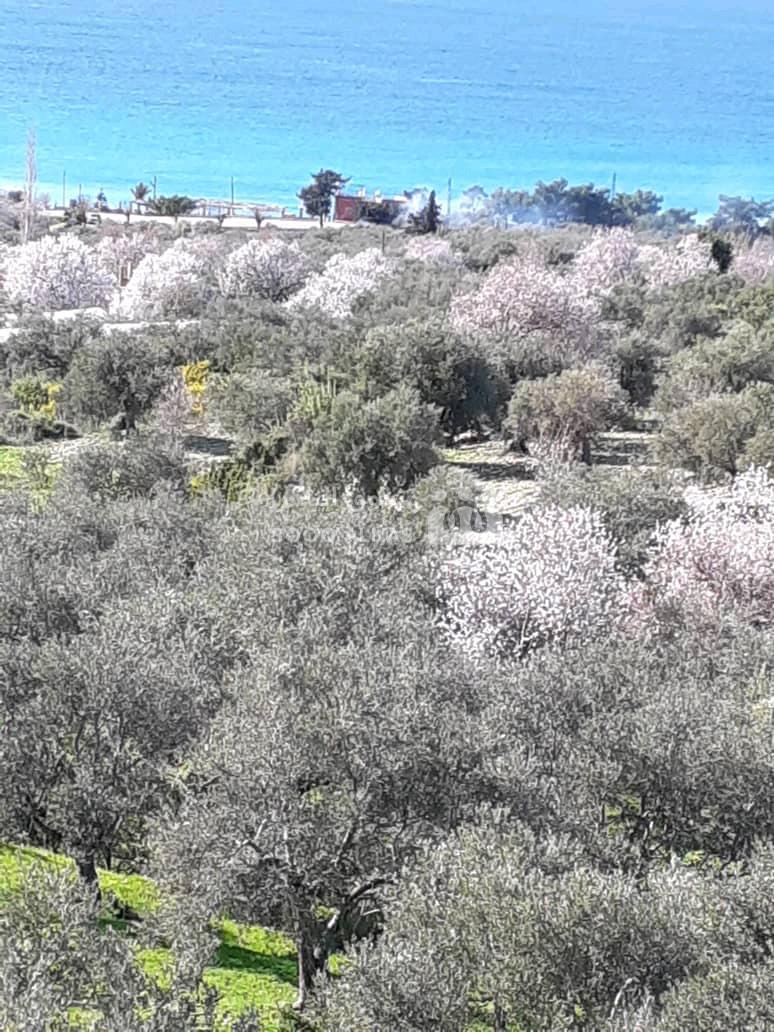 للبيع ارض فيها بيت طابقين