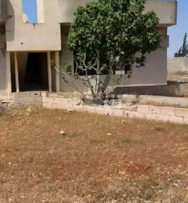 مزارع