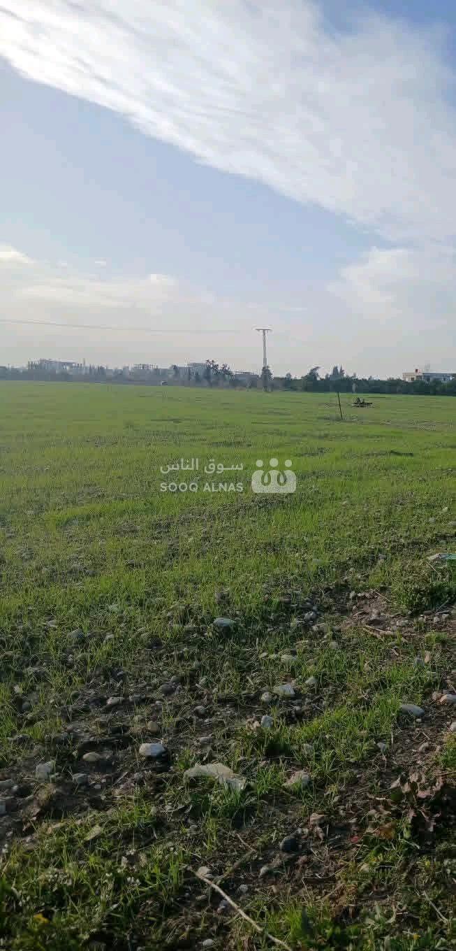 ارض مسحة 20 دونم سليخ