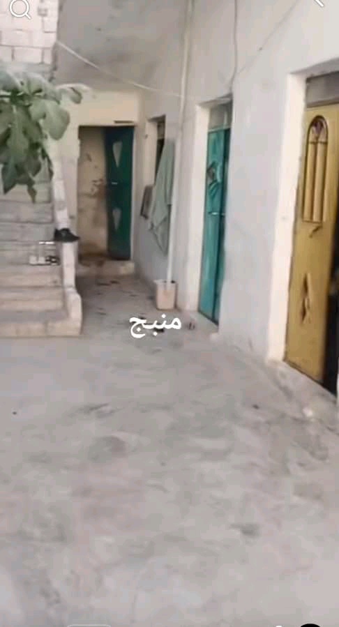 بيوت عربية