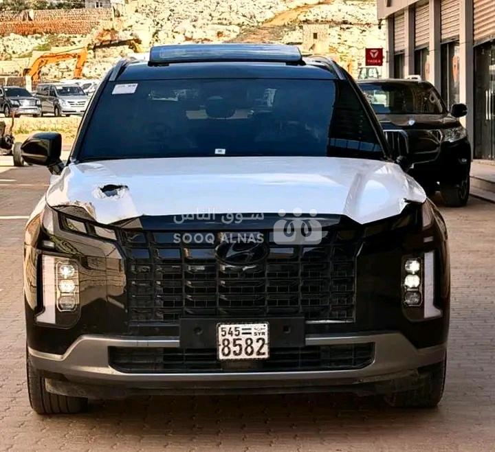بالسيد Palisade