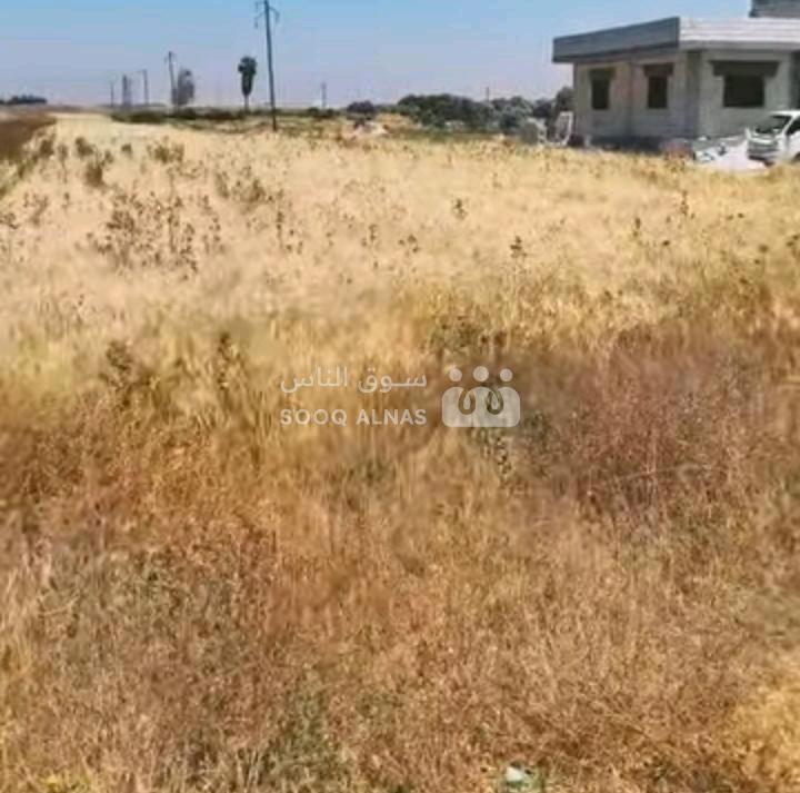 أرض زراعية طريق قطينة البويضة