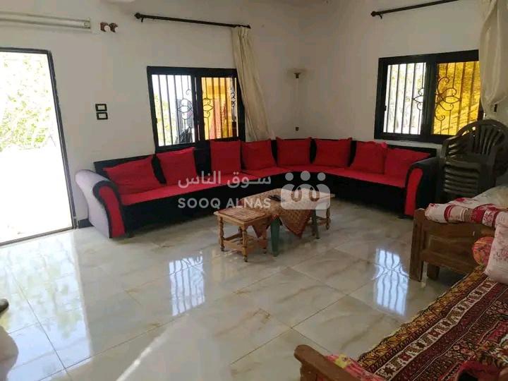 شقق