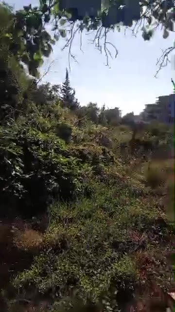 ارض 500 متر بصلنفة للبيع