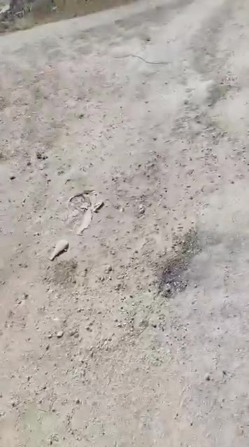 مزارع