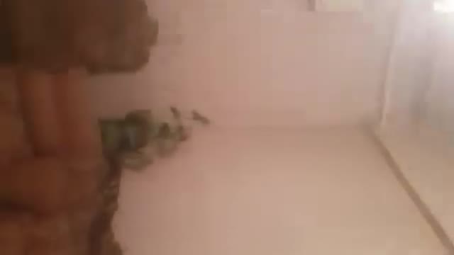 شقة للبيع في الشعلان