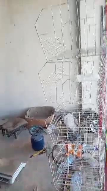 محل للإيجار في البردقلي