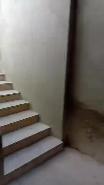 شقة في صلتفة3 غرف نوم وصالون للبيع