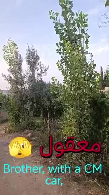 أرض زراعية للبيع في زبدين
