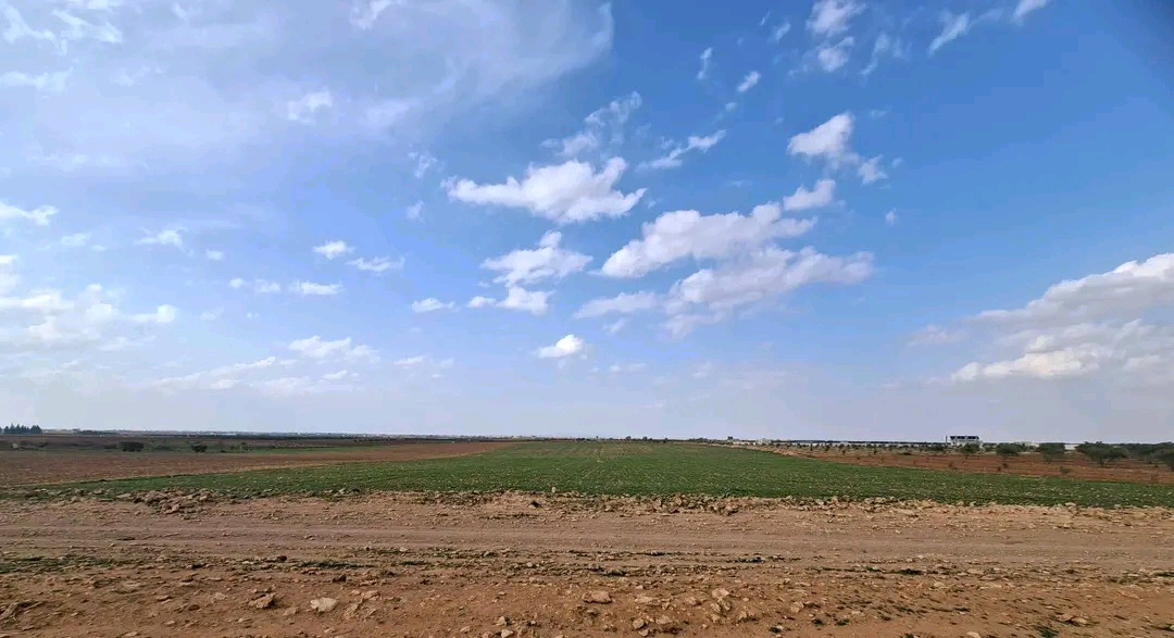 ارض زراعية مساحة 27 دلم للبيع
