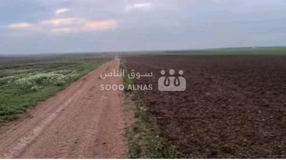 ارض مساحة ستون دونم