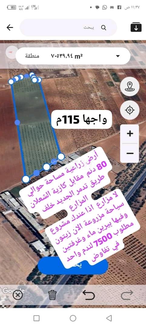 أرض زراعي لا مشروع مزارع